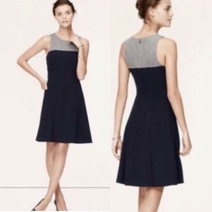 Ann Taylor Loft Grey Navy Ponte A Line Winter Holiday Dress